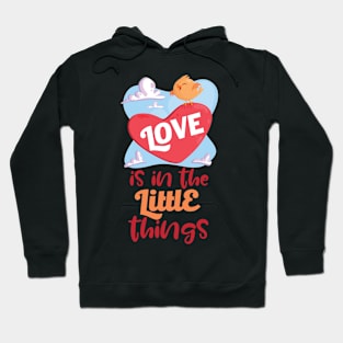 Love is in the little things Hoodie